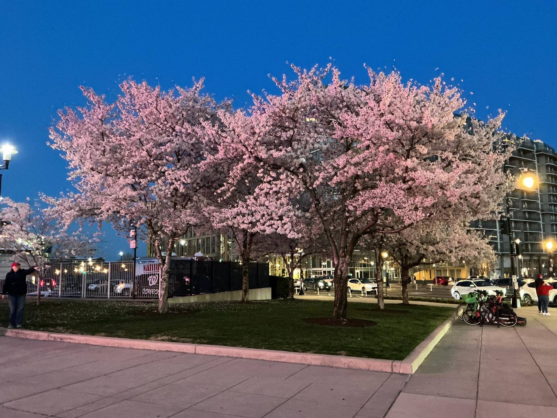 Adventuring through the Canadian Rockies