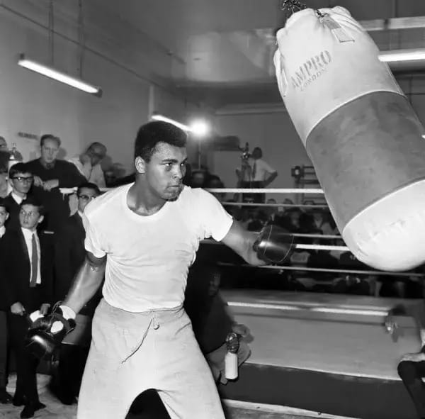 Adventuring through the Canadian Rockies