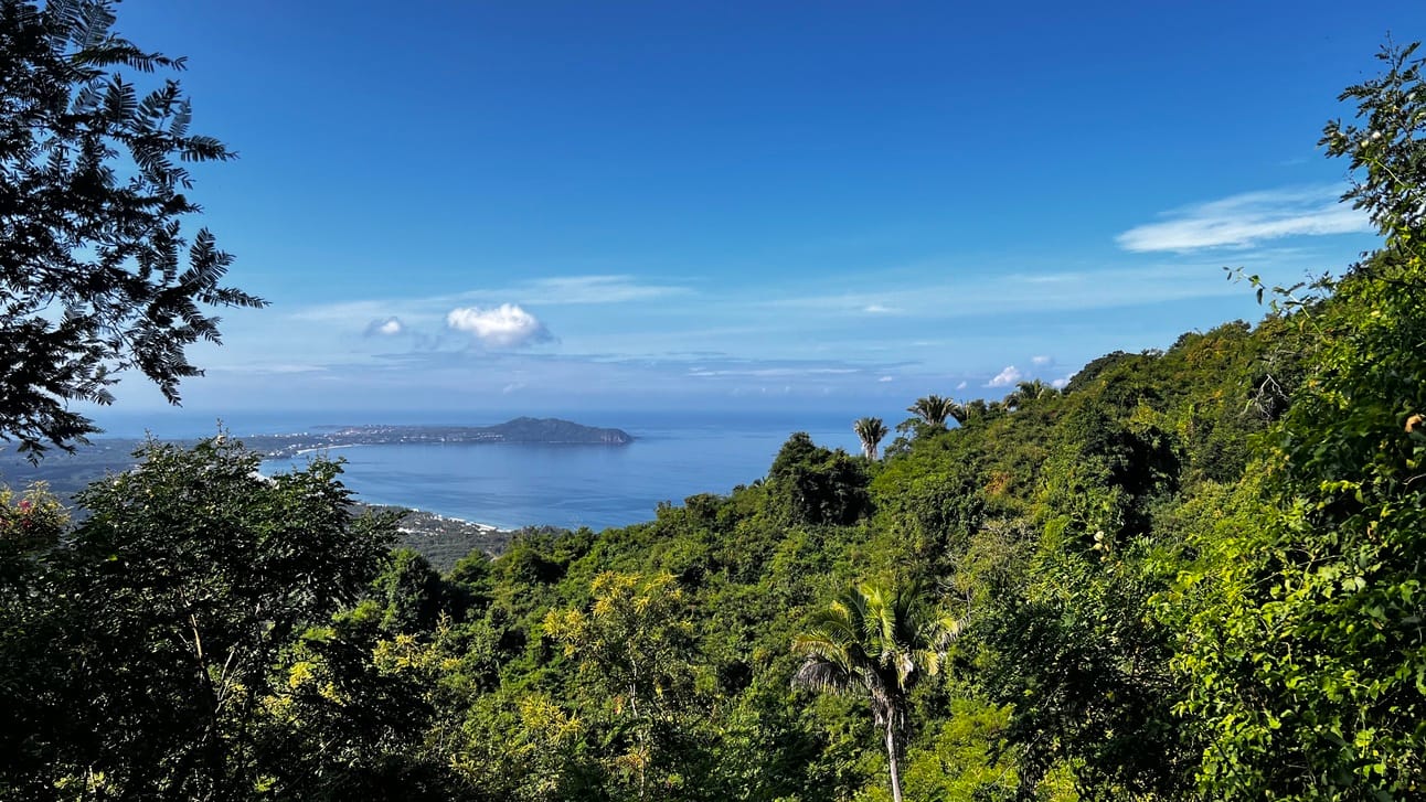 Find Paradise in Your Own Backyard