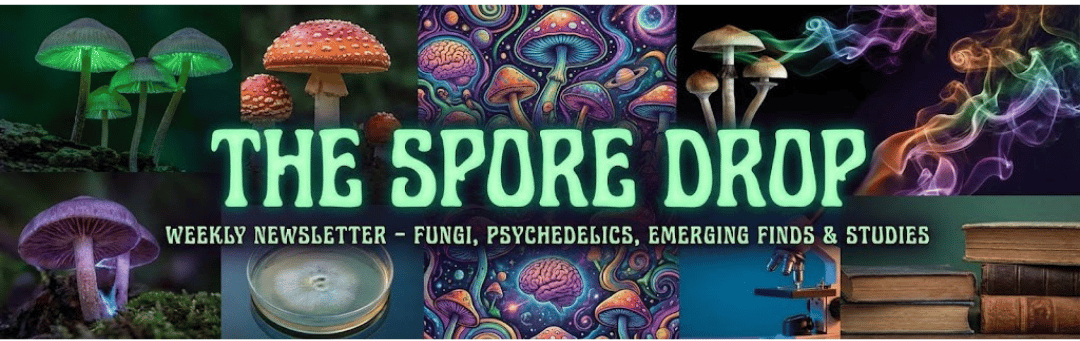 The Science of the Underground