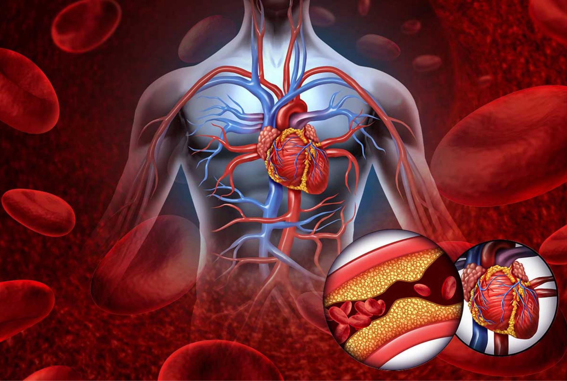 Adventuring through the Canadian Rockies