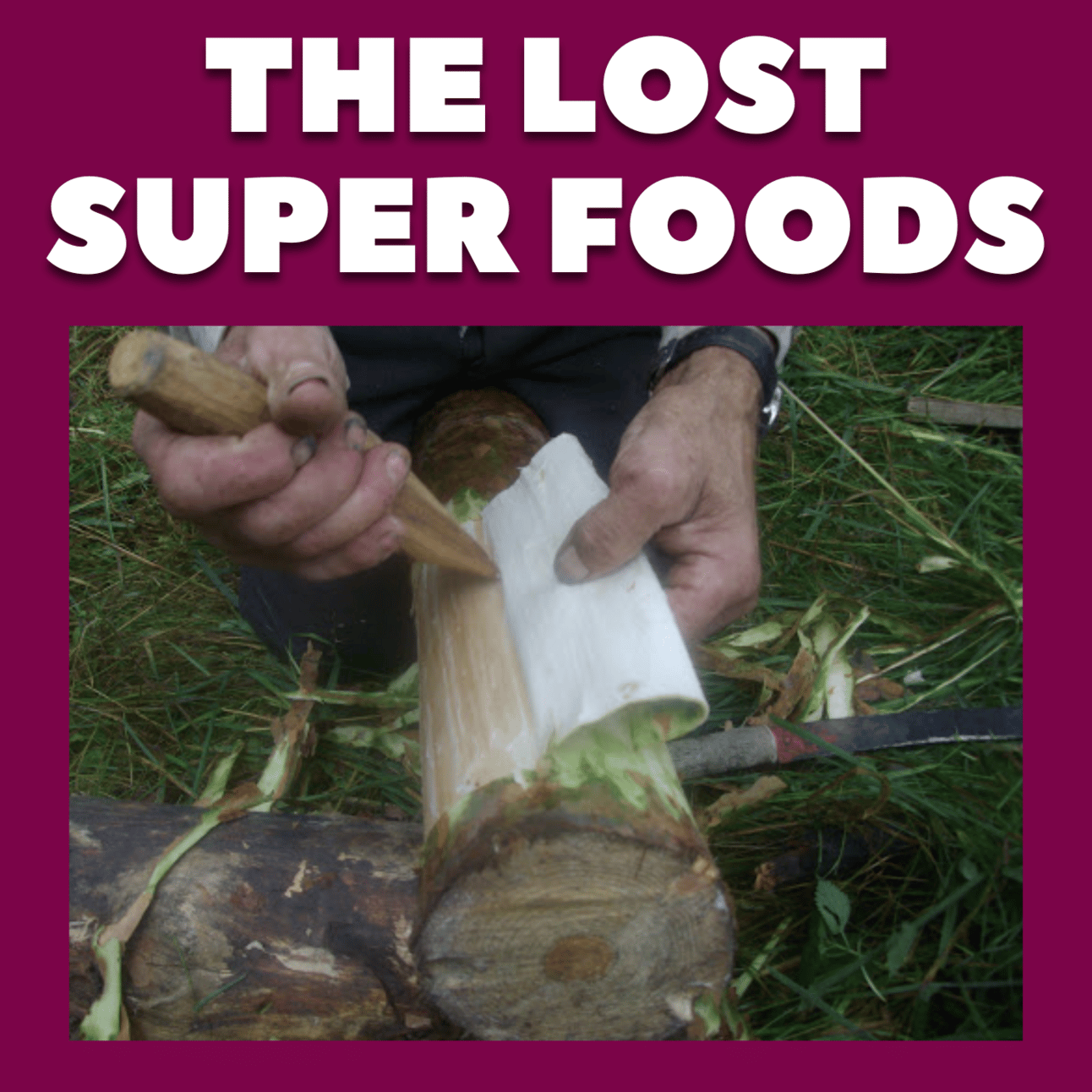 Challenging Conventional Wisdom: Why The Lost Superfoods is the Survival Game-Changer for 2025