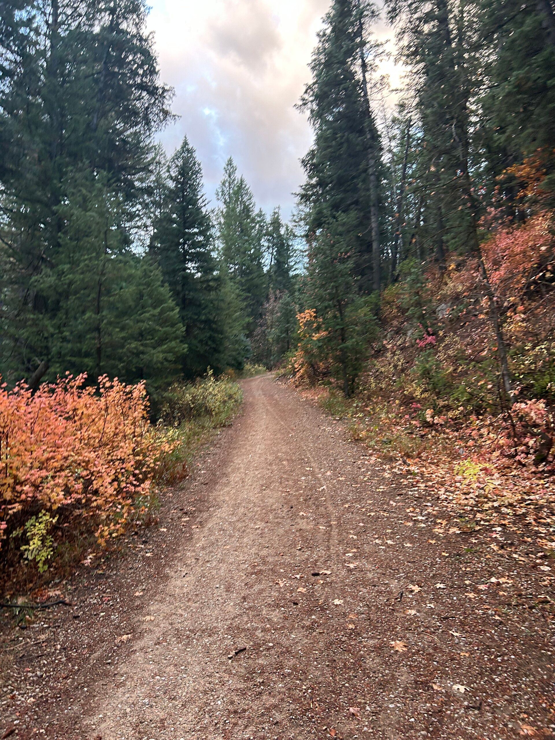 Adventuring through the Canadian Rockies
