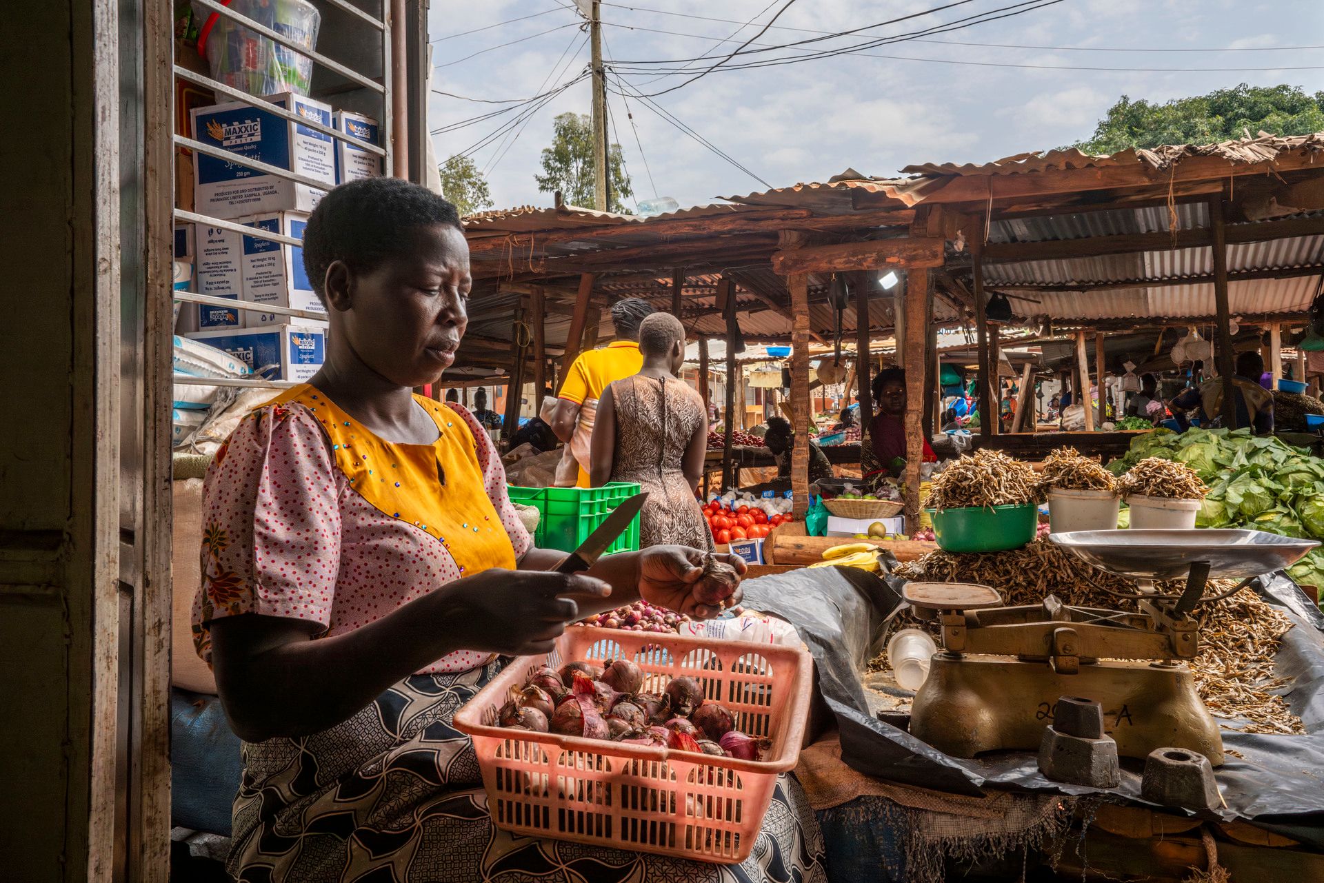 🎬 FUORI ROTTA: La nuova rubrica di Travel Film School