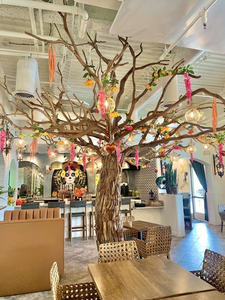 Taco ‘Bout a Hidden Gem! Why Landero’s is Our New Old Town Obsession