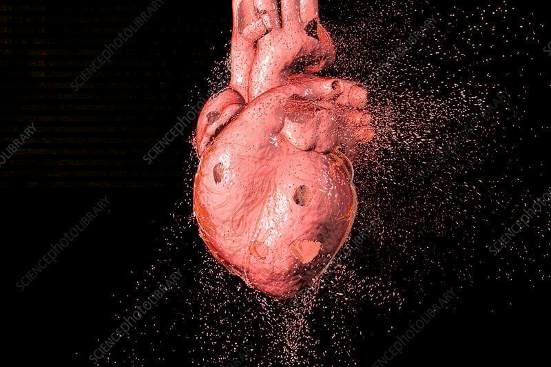 Harvard Medical Exposes - The $300 Pre-Workout Lie Destroying Entrepreneur Hearts