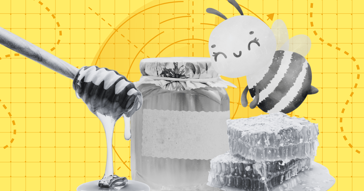 Adventuring through the Canadian Rockies