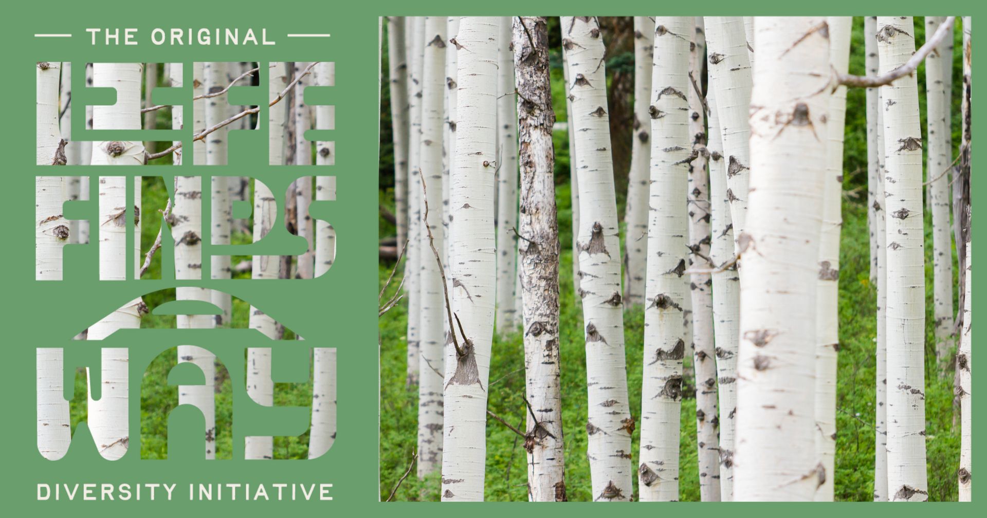 Adventuring through the Canadian Rockies