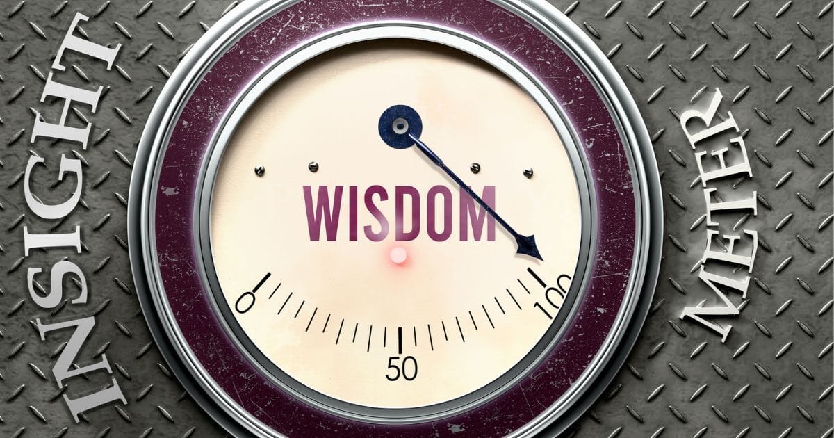 What We Learned in 2024