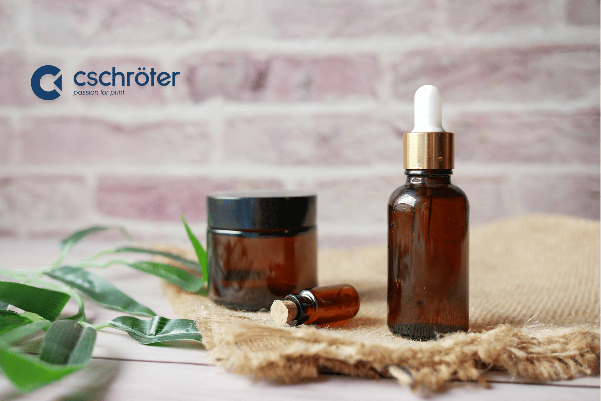 Adventuring through the Canadian Rockies