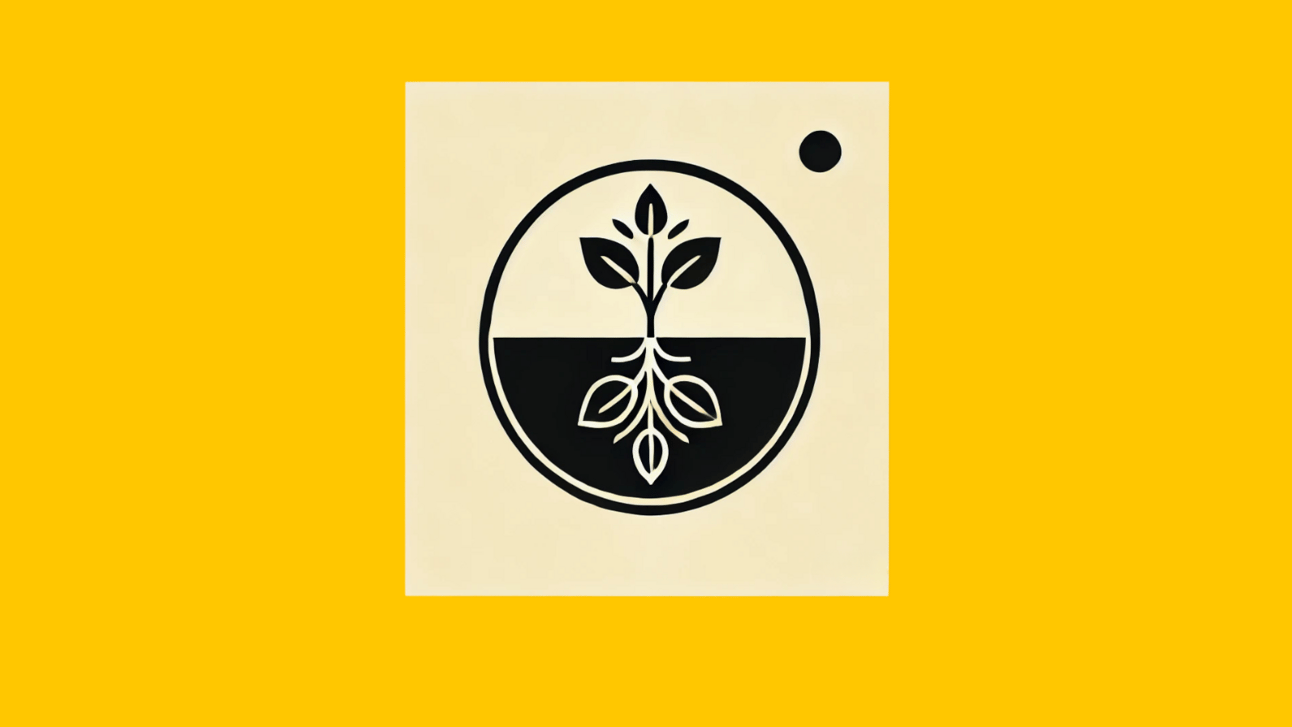 ☀️ How Being a Coach Changed My Life