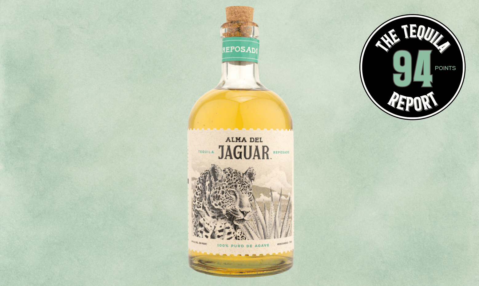 Adventuring through the Canadian Rockies