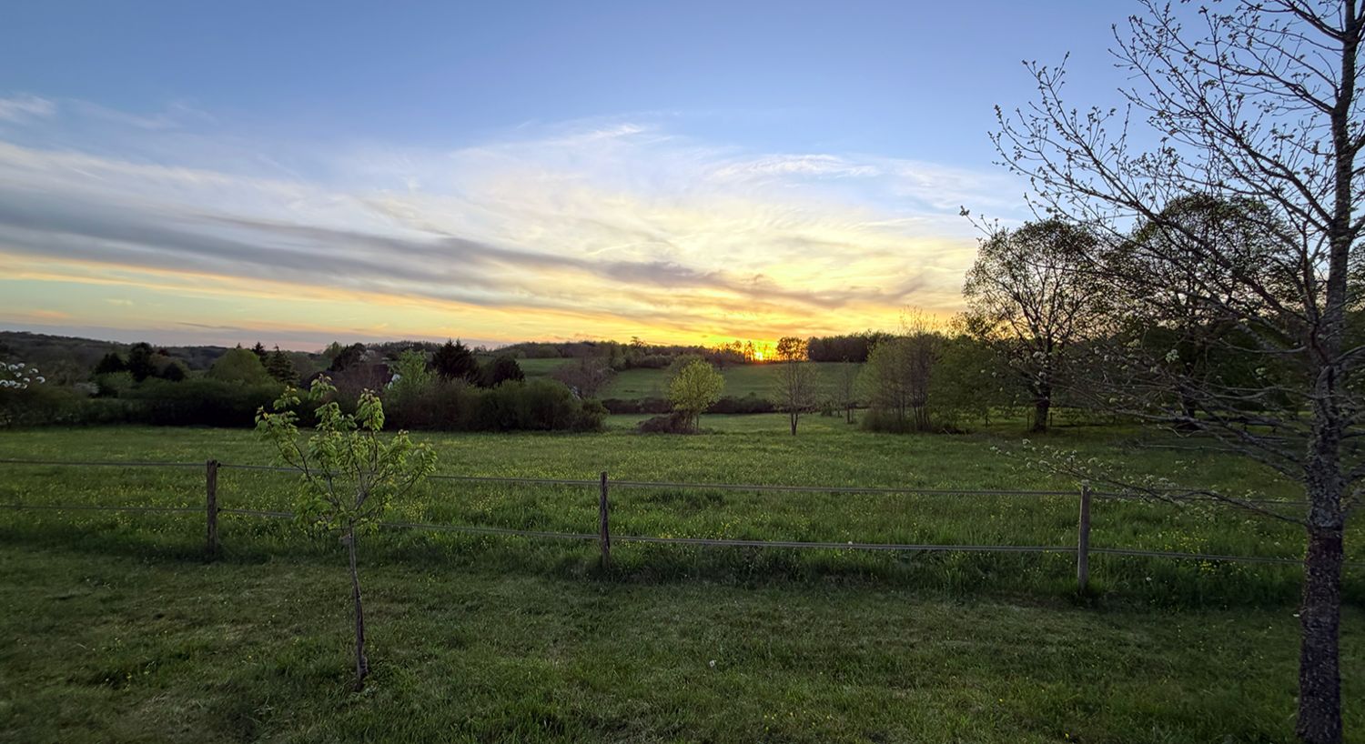 Spring Has Arrived in France (and So Has Our To-Do List)