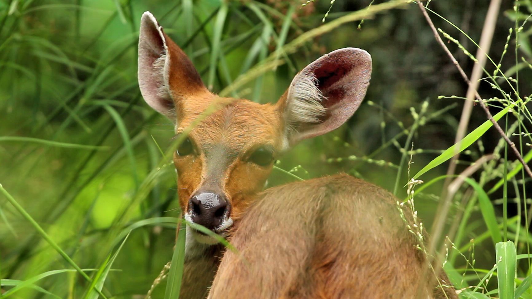 Adventuring through the Canadian Rockies