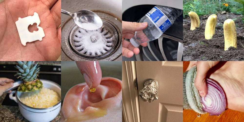 Adventuring through the Canadian Rockies