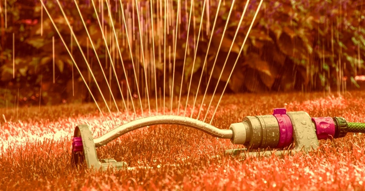 Two strikes and you're out: Abbotsford and Mission look to stiffen water restrictions, fines