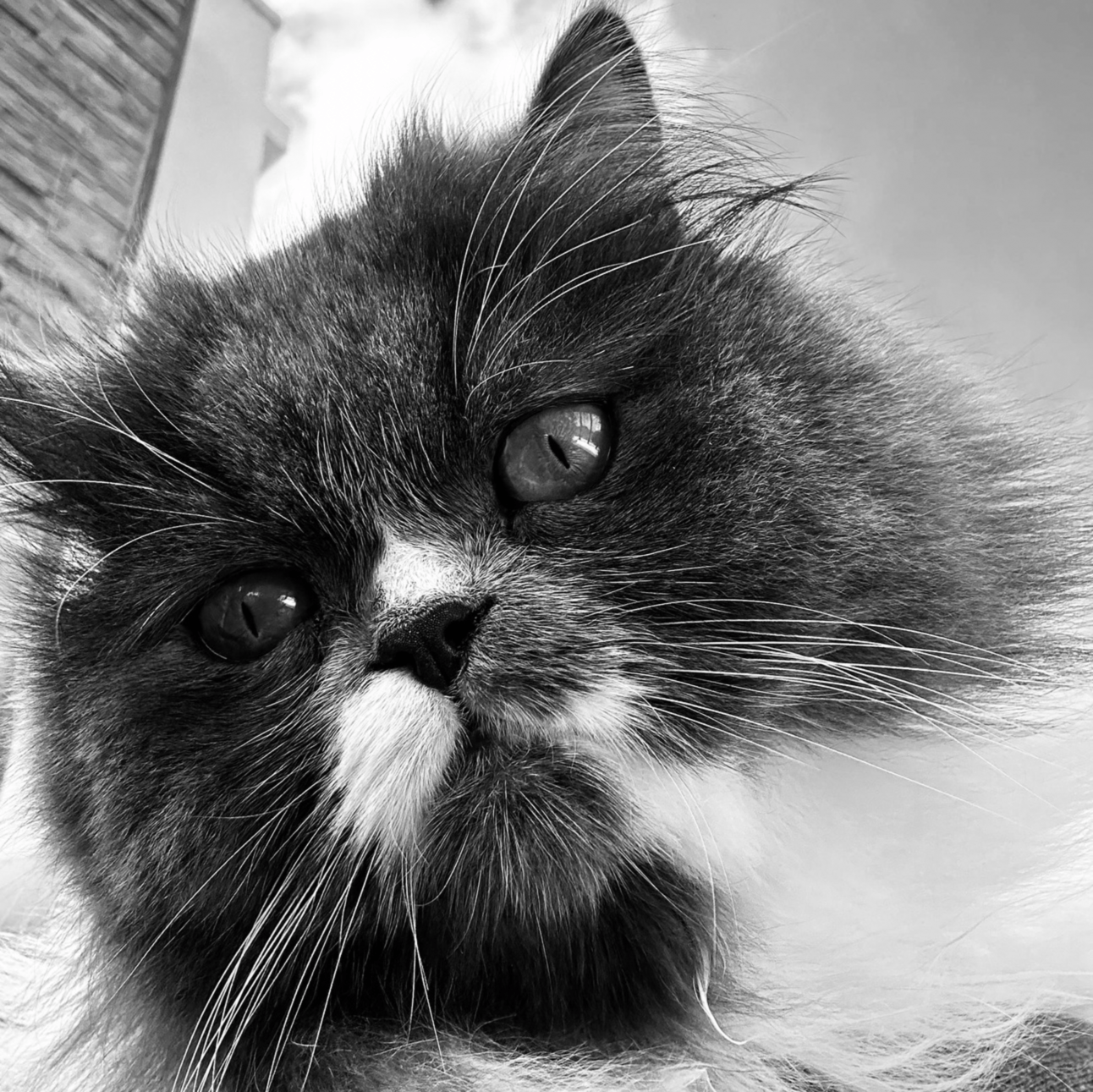 Adventuring through the Canadian Rockies