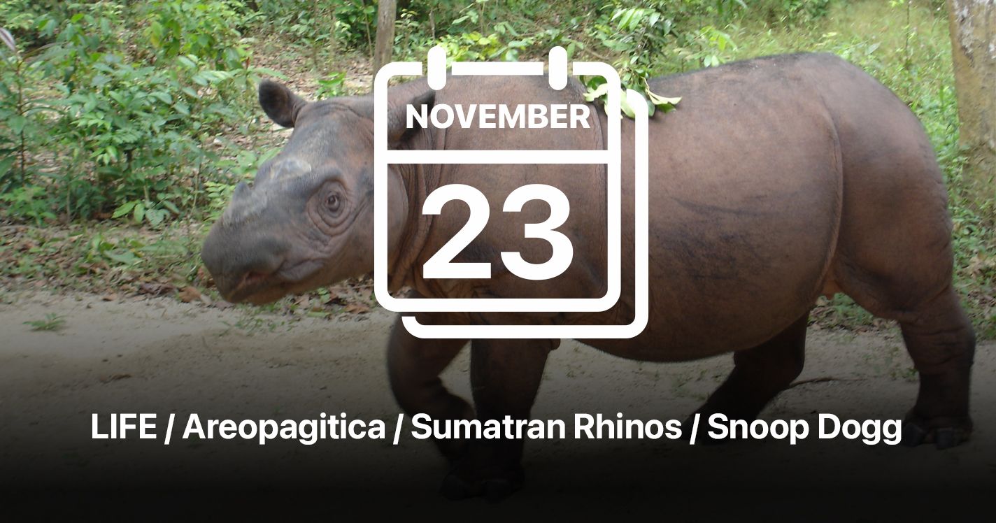 Adventuring through the Canadian Rockies