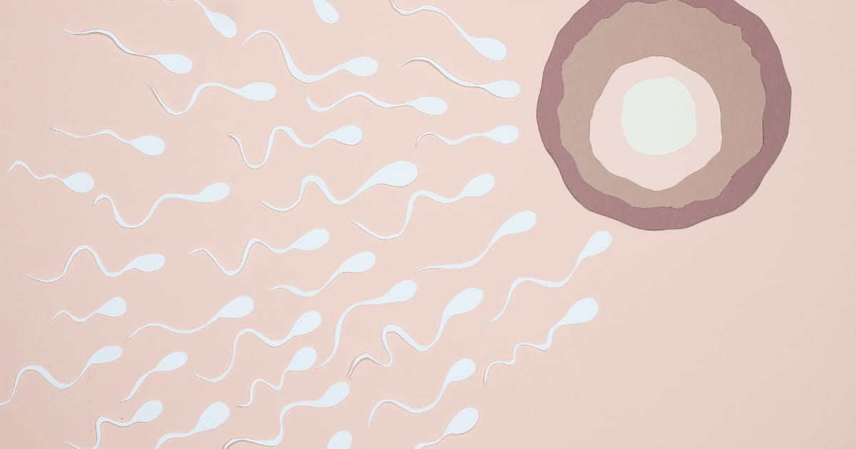 What “Robot IVF” Actually Means for Patients