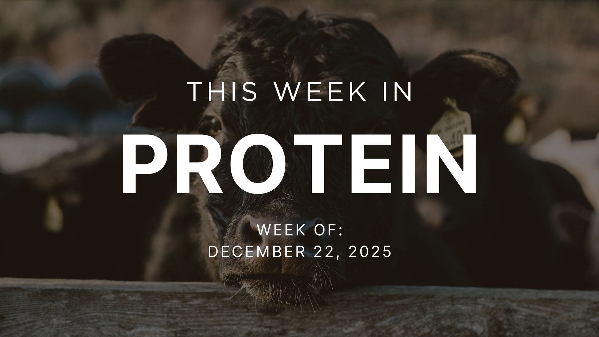 Adventuring through the Canadian Rockies