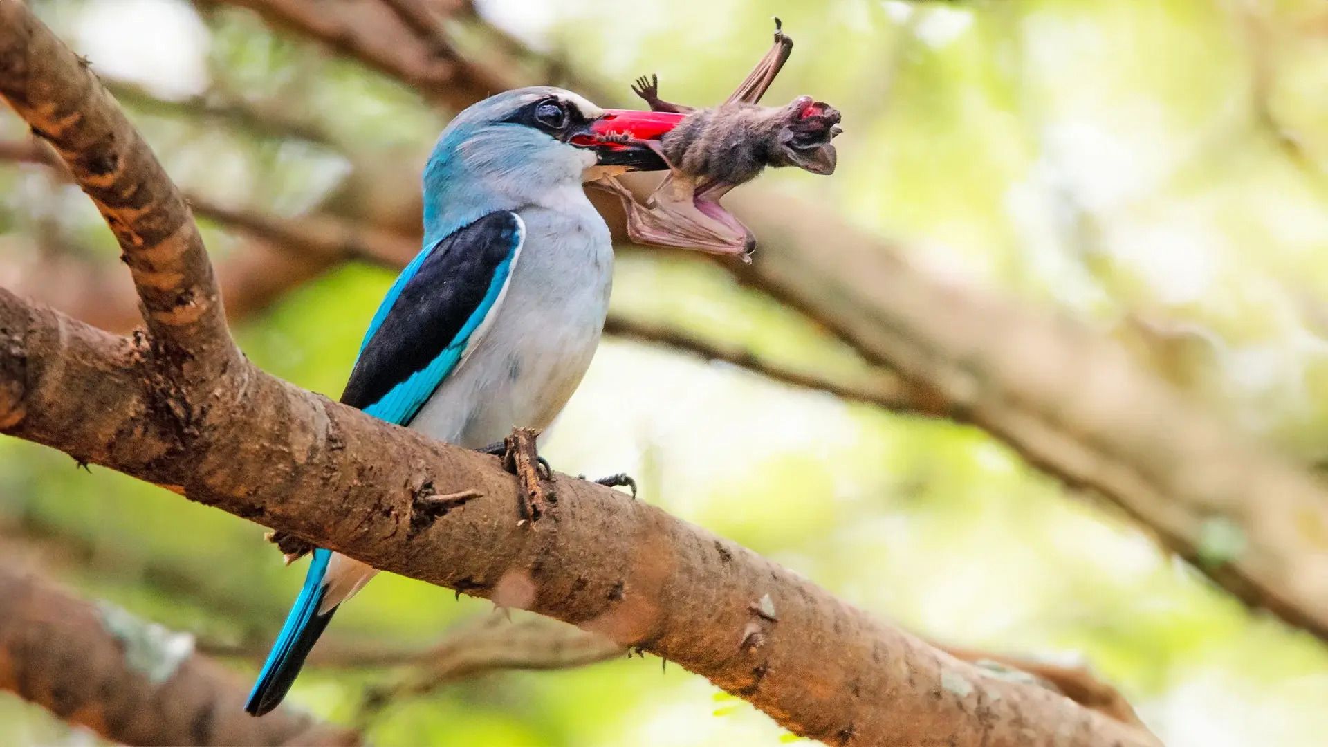 Adventuring through the Canadian Rockies