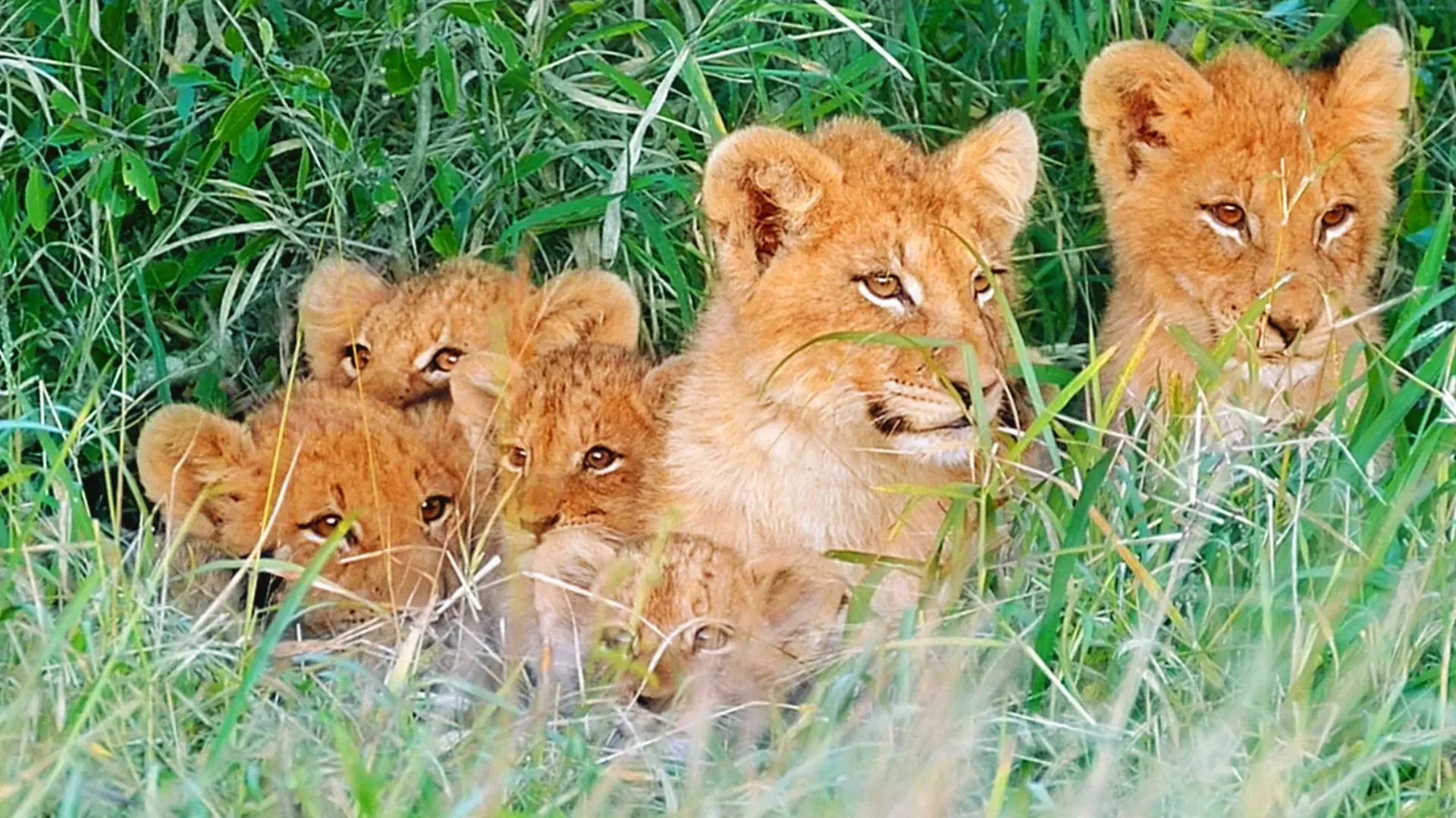 Adventuring through the Canadian Rockies