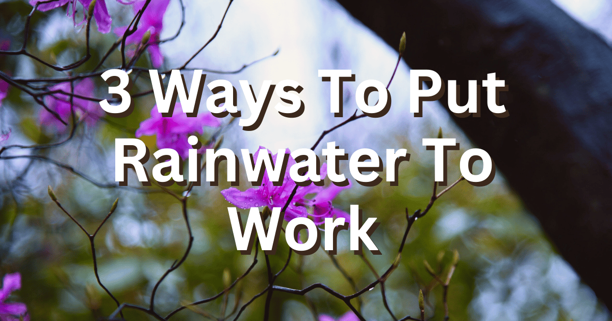 3 Ways To Put Rainwater To Work For You