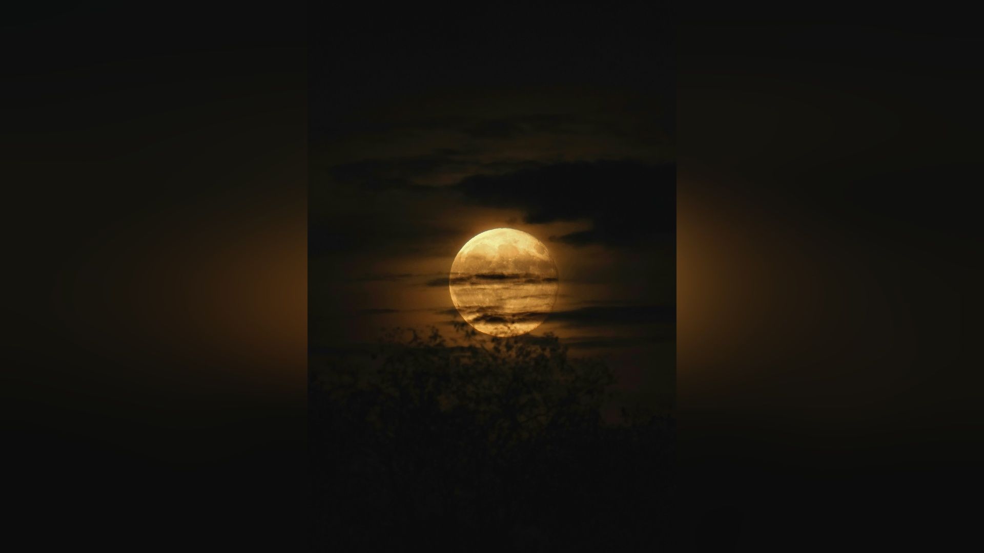 🧿 Stop Efforting: Learning to Receive Insight Instead of Chasing It