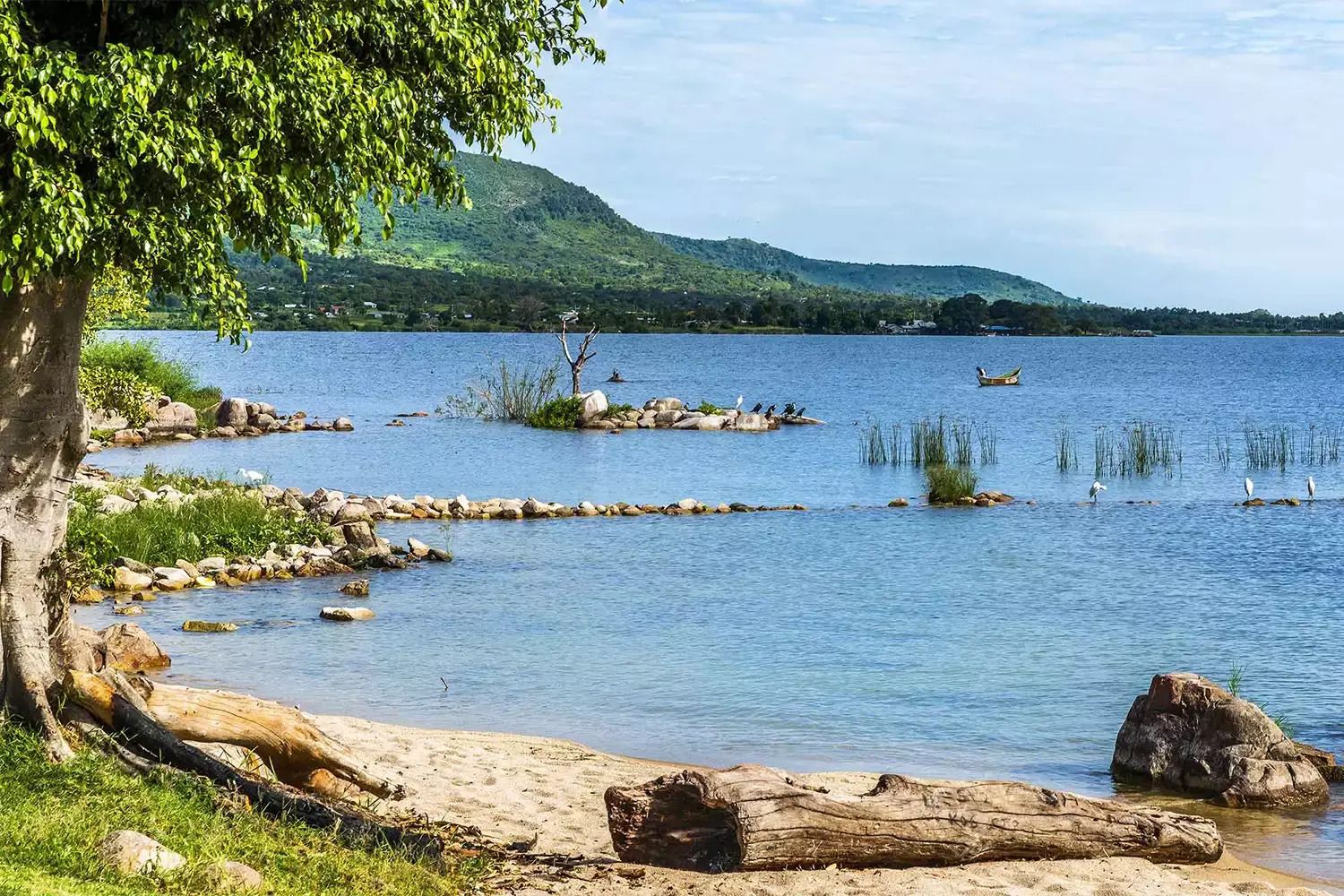 Adventuring through the Canadian Rockies