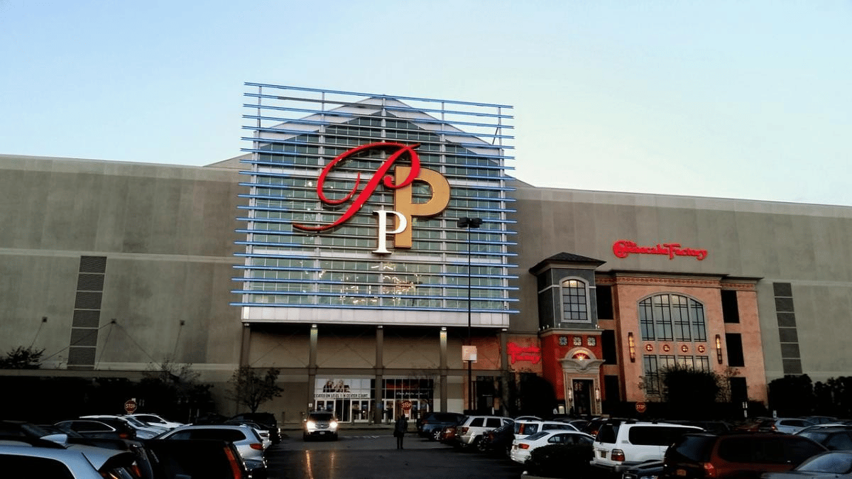 Palisades Center heads to public auction