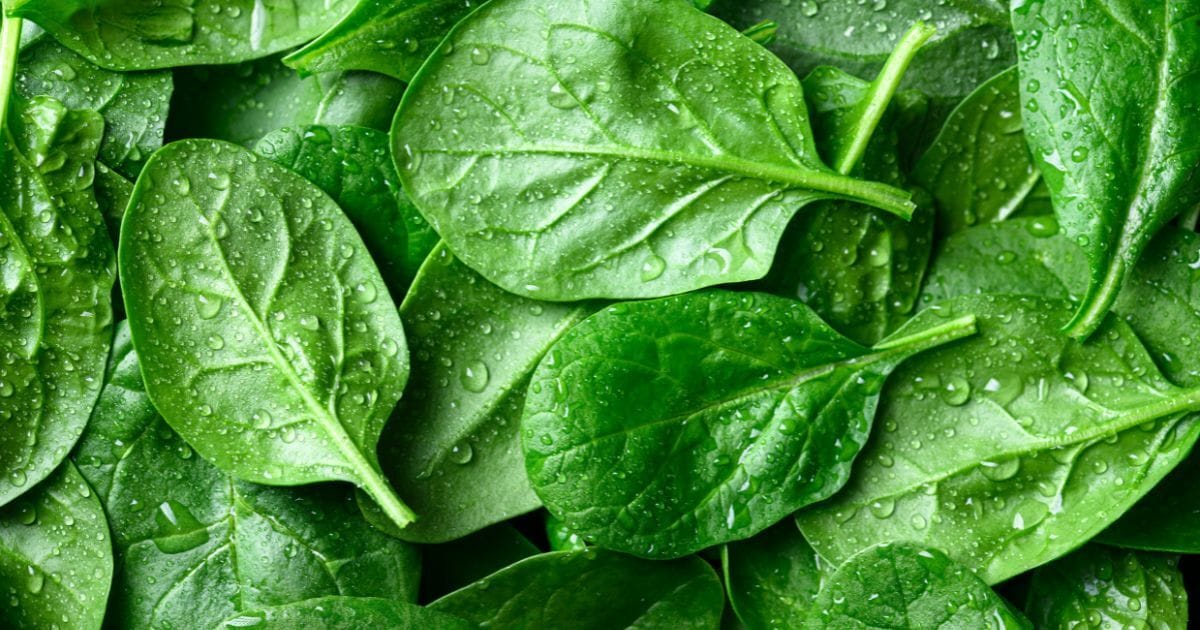 Adventuring through the Canadian Rockies