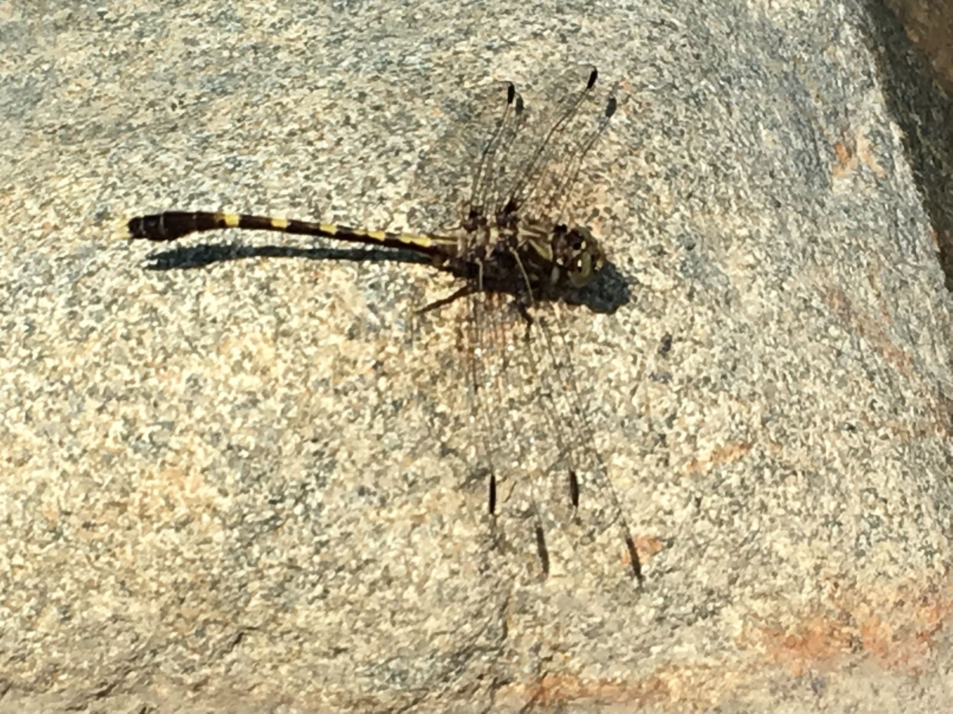 Adventuring through the Canadian Rockies