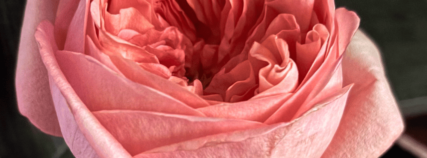 Adventuring through the Canadian Rockies