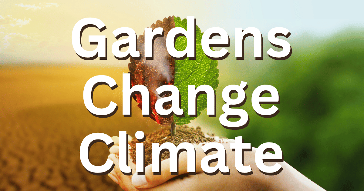 3 Ways Your Garden Can Impact The Climate For Good