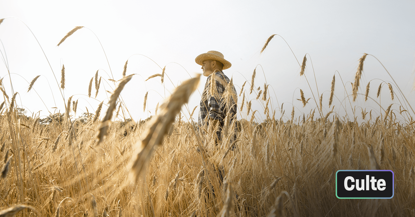 « Journal d'un paysan » : une année dans la peau d'un agriculteur