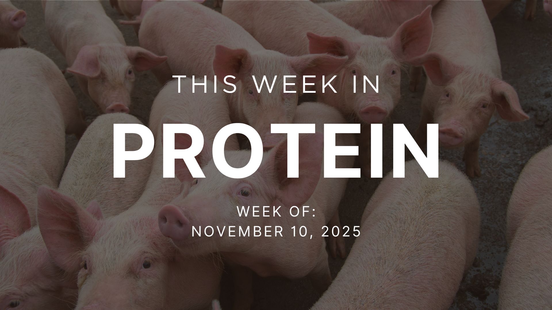 Adventuring through the Canadian Rockies