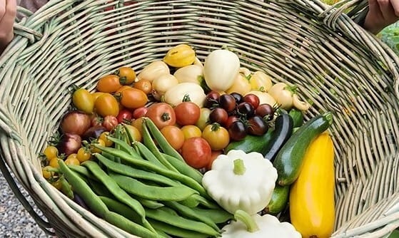 Adventuring through the Canadian Rockies