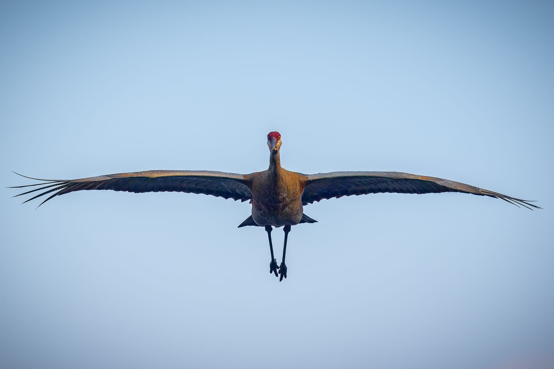 Adventuring through the Canadian Rockies