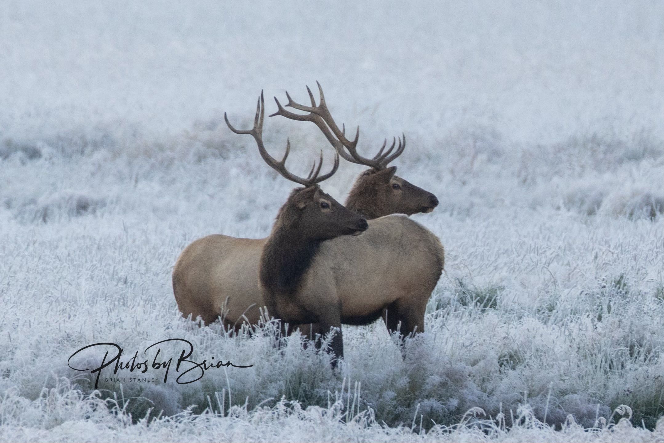 Trail Notes Newsletter: Longer Days & Moving Water