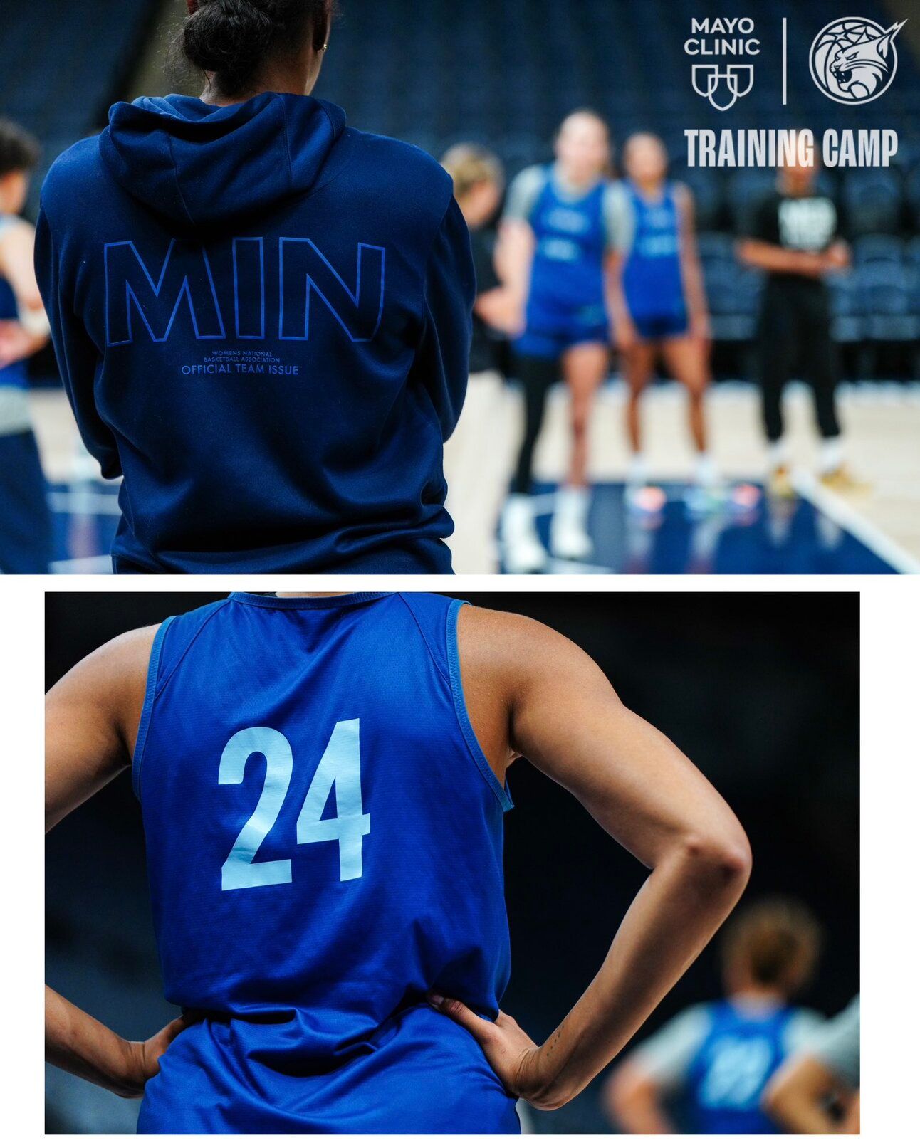 #ShrinkTheGame: 13 Days of WNBA 