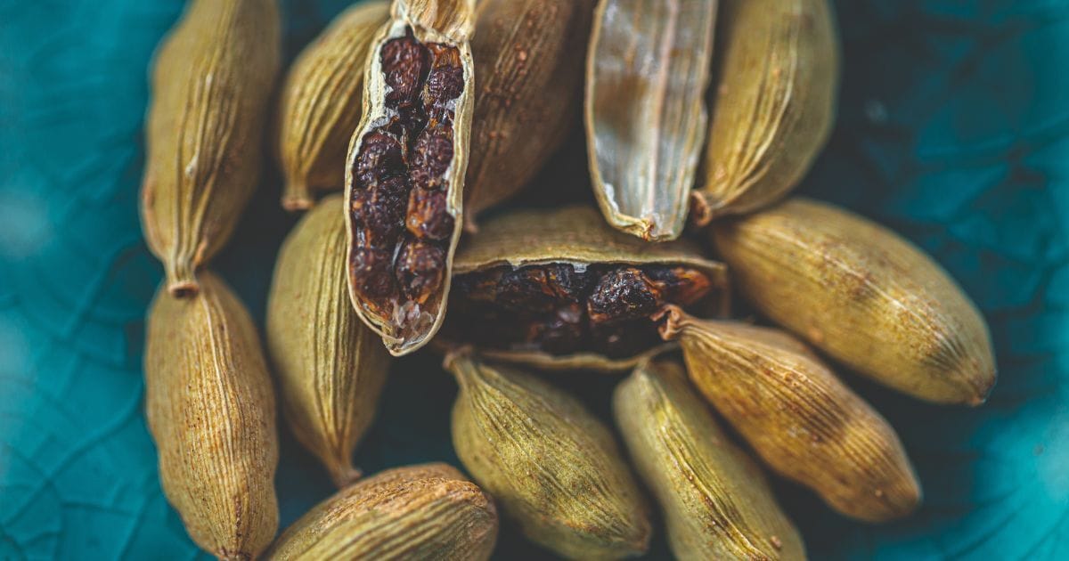 Adventuring through the Canadian Rockies