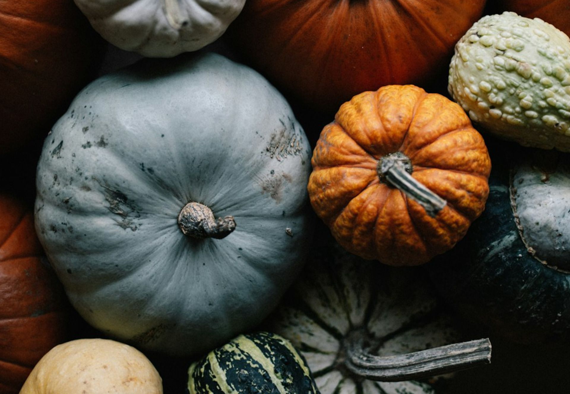 Adventuring through the Canadian Rockies