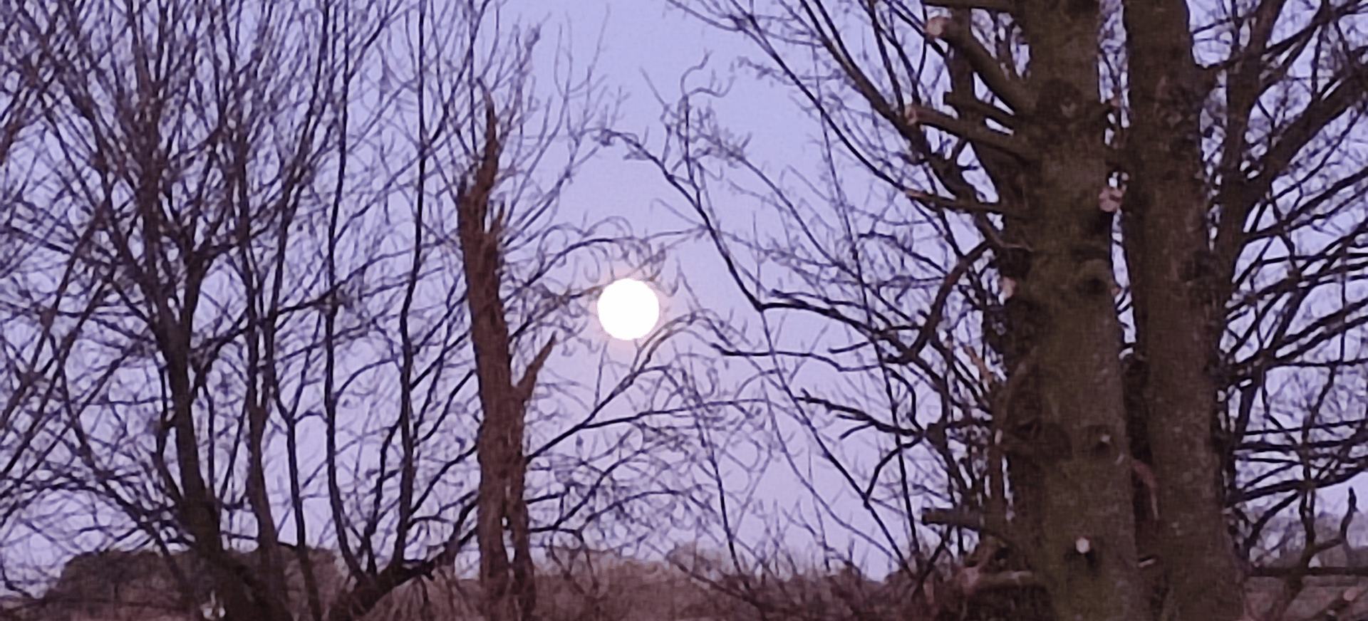 This Newsletter has a Predetermined End Date 6