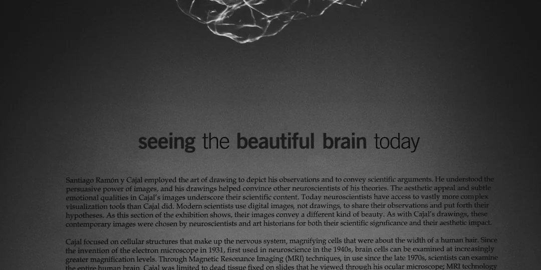 Adventuring through the Canadian Rockies