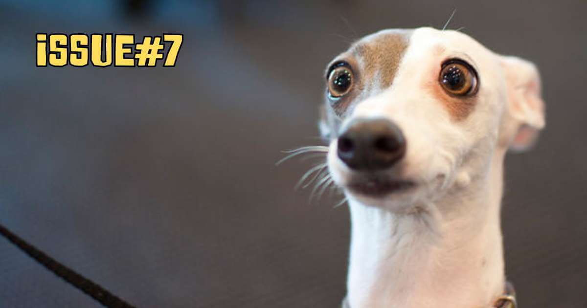 Quantum Leaps & Sweaty Robots