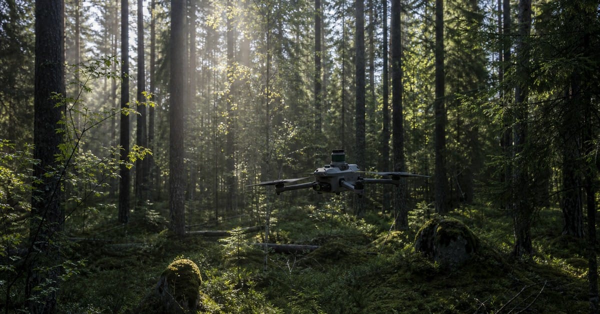 Deep Forestry’s €3M drone round goes beneath the canopy