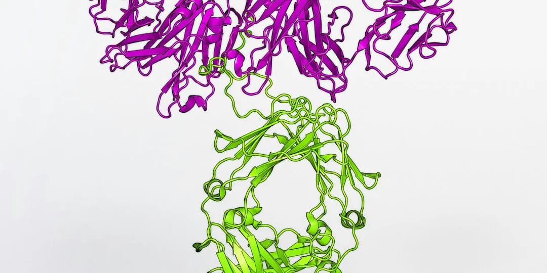 Adventuring through the Canadian Rockies