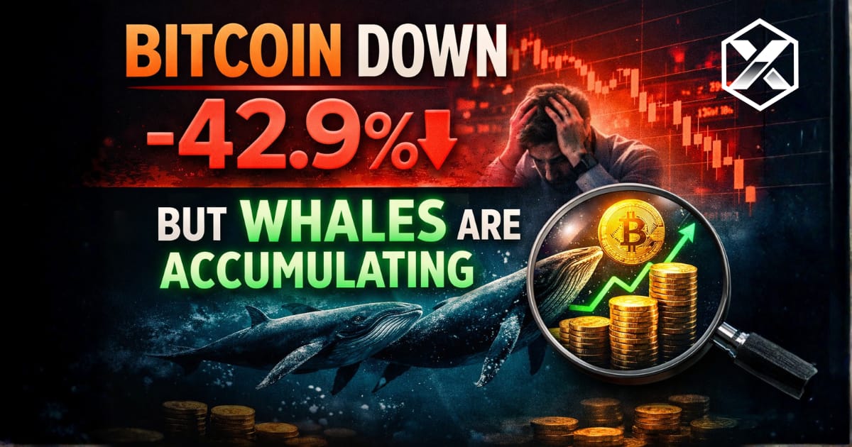 Bitcoin Is Down 42.9%... But Whales Are Quietly Accumulating