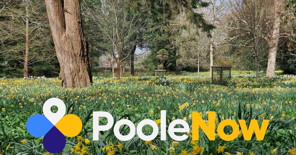 🌊Bruno Lounge Opening, Giant Sea Eagles, Auditions & more!