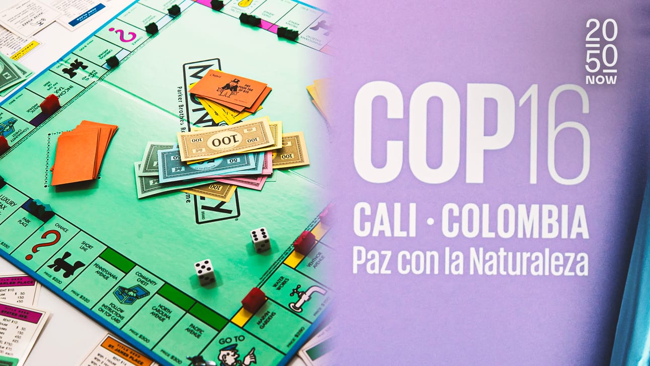 Et si la COP16 était une partie de Monopoly